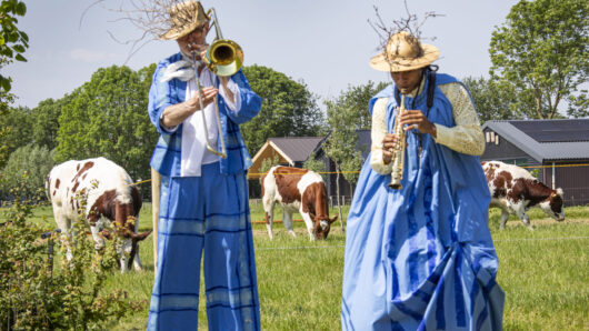 LOEI: 2 muzikanten in een wei met koeien