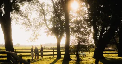 Adriaans Paradijs: een weiland en bomen met zonsondergang