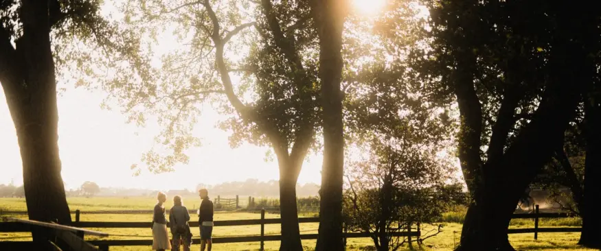 Adriaans Paradijs: een weiland en bomen met zonsondergang