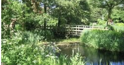 groene tuin met waterpartijen - de tuin van kapitein rommel